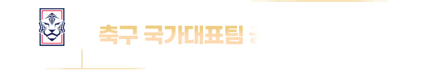 축구 국가대표팀 공식 협찬사